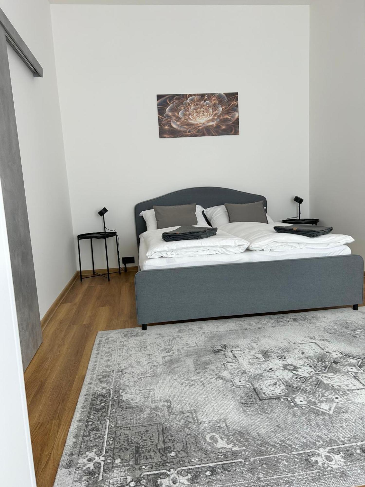Apartment Dita Karlovy Vary Exterior photo